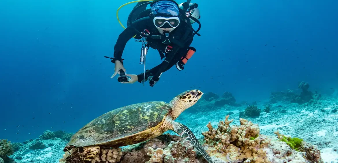 MIRISSA ACITIVITES BY SHALANKA TOURS