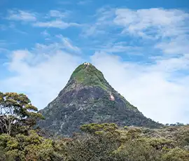 q5