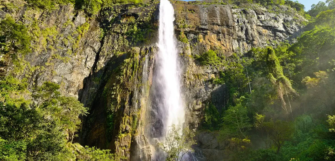 NUWARAELIYA ACTIVITES BY SHALANKA TOURS