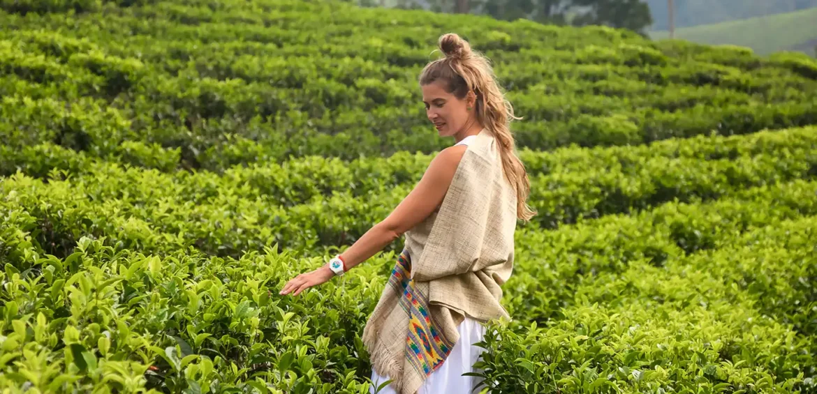 NUWARAELIYA ACTIVITES BY SHALANKA TOURS