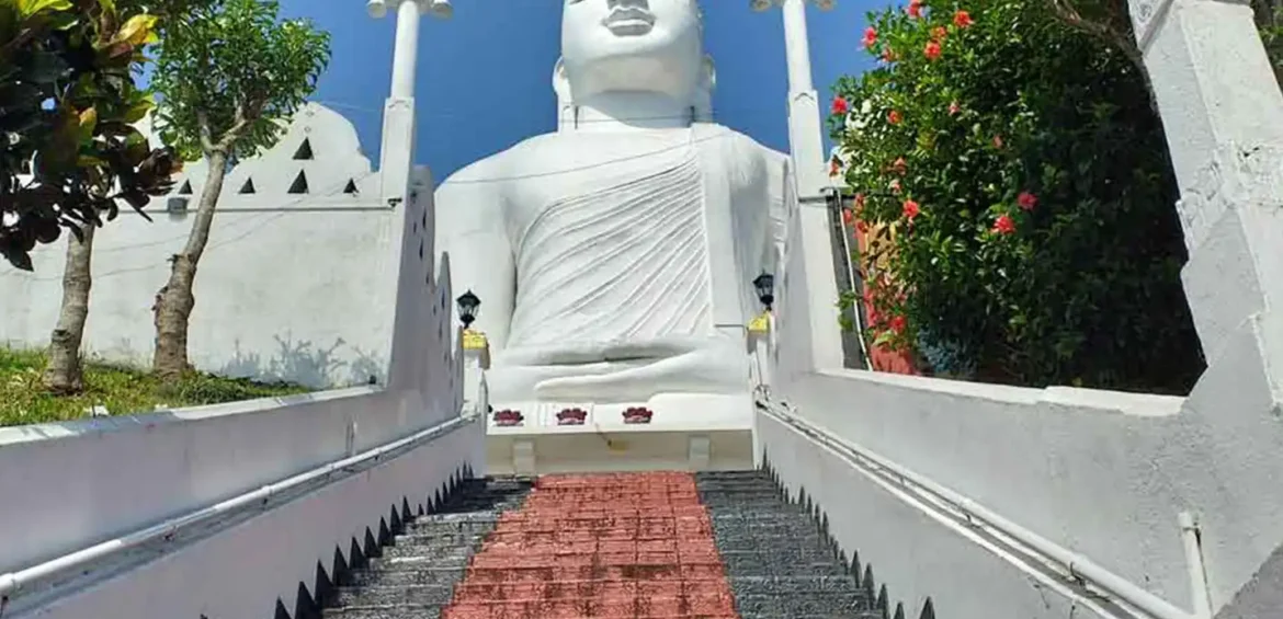 KANDY ACITIVITES BY SHALANKA TOURS & TRAVELS