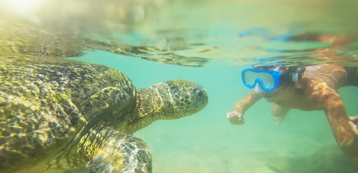 GALLE / BENTOTA BY SHALANKA TOURS