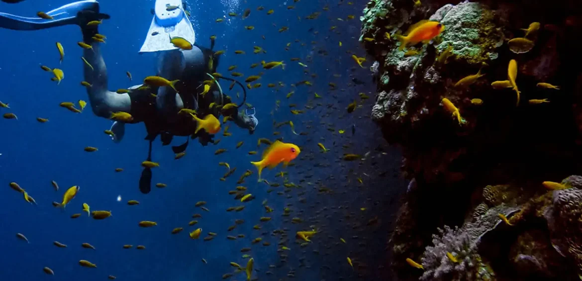 TRINCOMALEE BY SHALANKA TOURS
